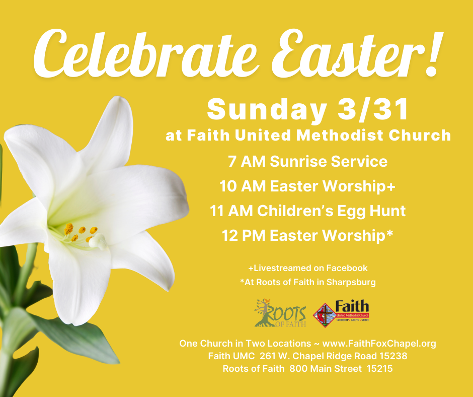 Image of white Easter lily on yellow background.
Celebrate Easter Sunday 3/31 at Faith United Methodist Church
7 AM Sunrise Serivce
10 AM Easter Worship
11 AM Children's Egg Hunt
12 PM Easter Worship
